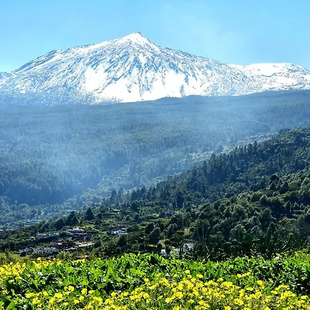 Cozy House Casa De Abuelos In Icod De Vinos By Hrtenerife Net